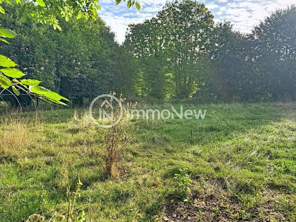 GRANGE A RENOVER 100 M2 EN LISIERE DE FORET VUE EXCEPTIONNELLE SUR 4 HECTARES ENVIRON