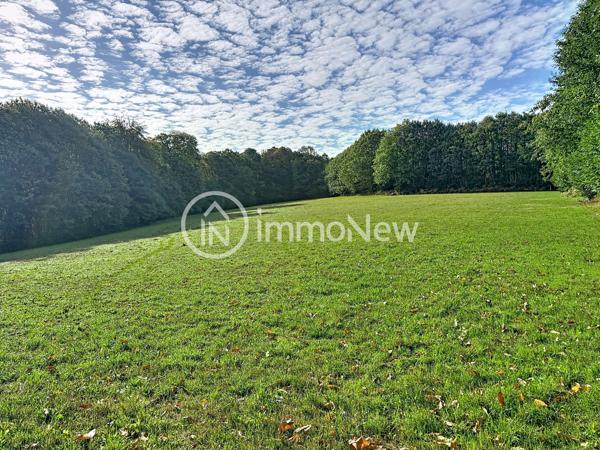 GRANGE A RENOVER 100 M2 EN LISIERE DE FORET VUE EXCEPTIONNELLE SUR 4 HECTARES ENVIRON