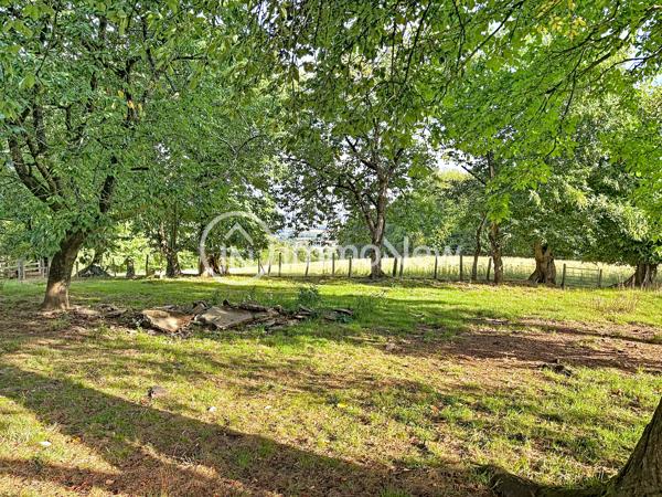 GRANGE A RENOVER 100 M2 EN LISIERE DE FORET VUE EXCEPTIONNELLE SUR 4 HECTARES ENVIRON