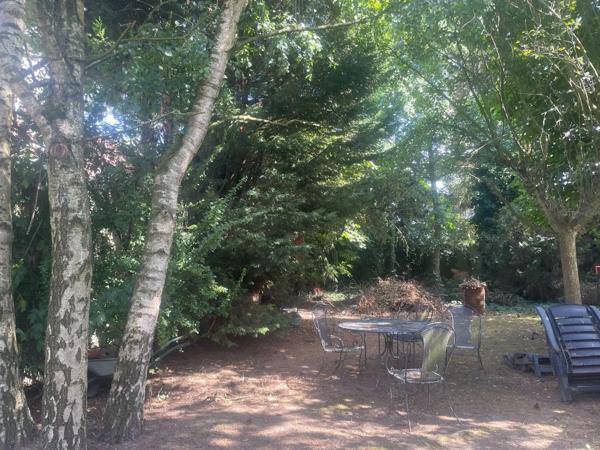 Achat - Appartement Bailleul 59270 3 pièces 102 m 2 575 m 2