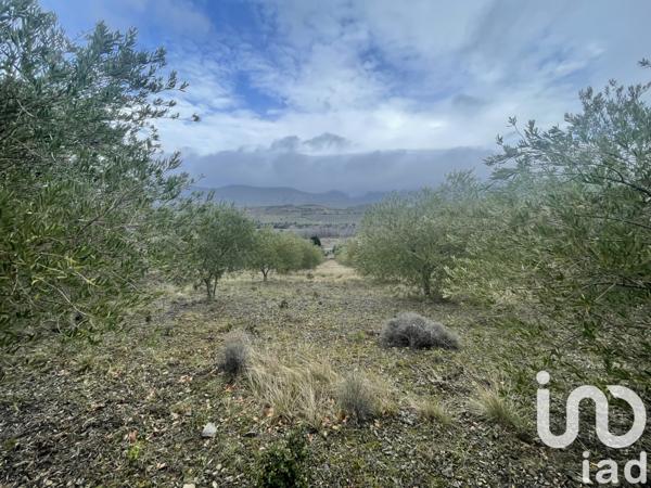 Terrain à vendre 40 000 m² Saint-Paul-de-Fenouillet