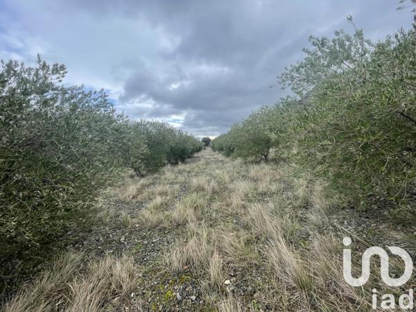 Terrain à vendre 40 000 m² Saint-Paul-de-Fenouillet