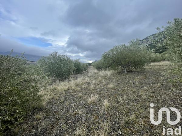 Terrain à vendre 40 000 m² Saint-Paul-de-Fenouillet