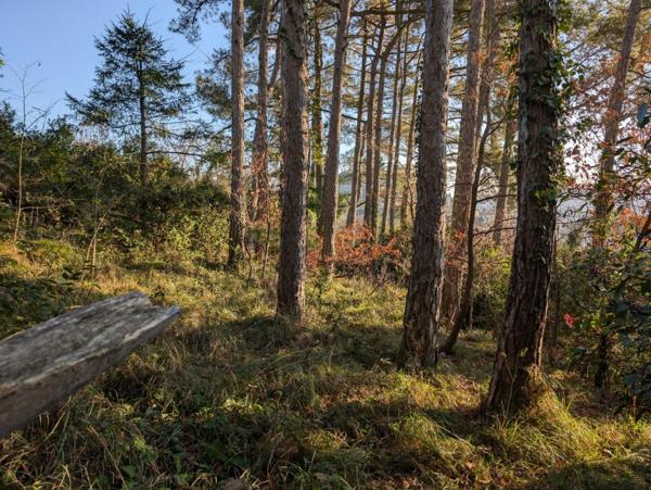 A SAISIR TERRAIN CONSTRUCTIBLE AU COEUR DE LA VILLE DE PRIVAS