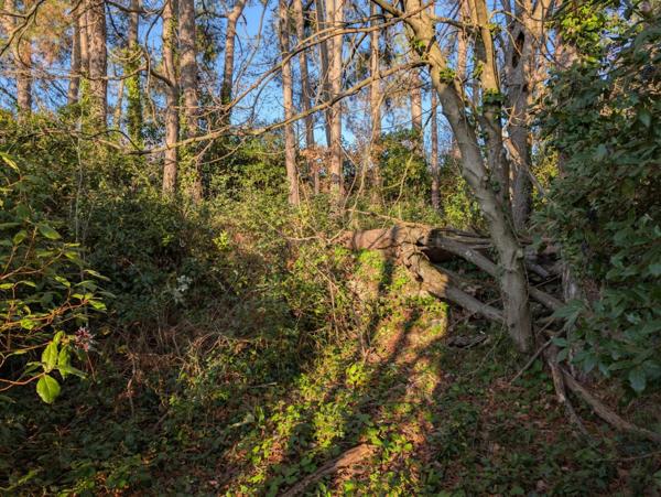 A SAISIR TERRAIN CONSTRUCTIBLE AU COEUR DE LA VILLE DE PRIVAS