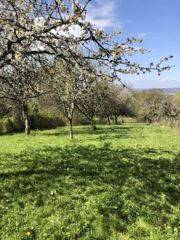 Maison à vendre à Ambronay dans l'Ain (01500), ref : 01016-504