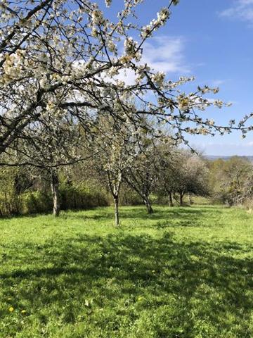 Maison à vendre à Ambronay dans l'Ain (01500), ref : 01016-504