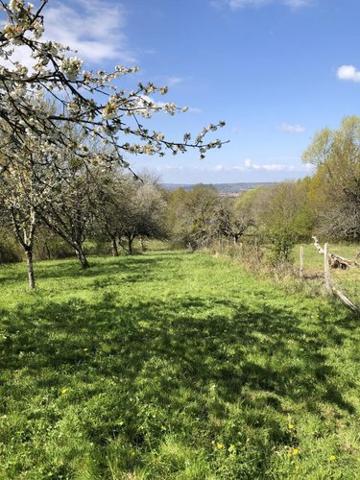Maison à vendre à Ambronay dans l'Ain (01500), ref : 01016-504