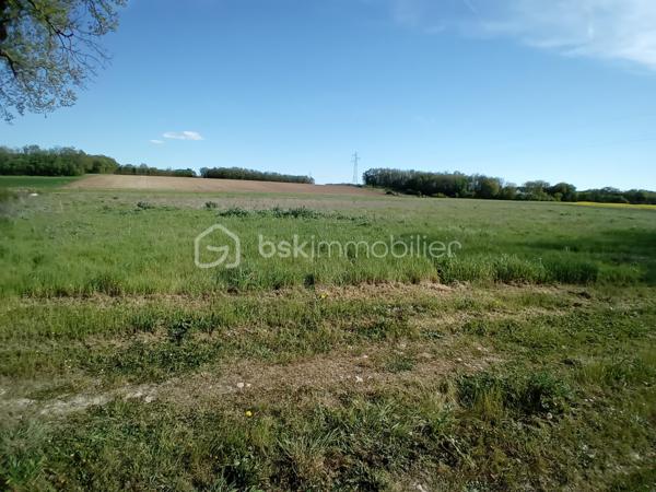 EXCLUSIVITÉ – Terrain agricole à vendre à Aubigné (79110)

Situé sur la commune d’Aubigné, ce terrain agricole d’une superficie de 16 690 m² offre un bel espace exploitable, idéal pour un projet agricole ou un investissement foncier.

Facile d’accès, il bénéficie d’un environnement calme et naturel, propice à diverses exploitations agricoles ou à la constitution d’un patrimoine rural.

Points forts :

Belle superficie
Terrain exploitable
Environnement paisible

Pour plus d’informations ou organiser une visite, n’hésitez pas à nous contacter.
