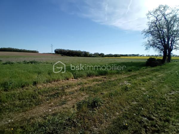 EXCLUSIVITÉ – Terrain agricole à vendre à Aubigné (79110)

Situé sur la commune d’Aubigné, ce terrain agricole d’une superficie de 16 690 m² offre un bel espace exploitable, idéal pour un projet agricole ou un investissement foncier.

Facile d’accès, il bénéficie d’un environnement calme et naturel, propice à diverses exploitations agricoles ou à la constitution d’un patrimoine rural.

Points forts :

Belle superficie
Terrain exploitable
Environnement paisible

Pour plus d’informations ou organiser une visite, n’hésitez pas à nous contacter.