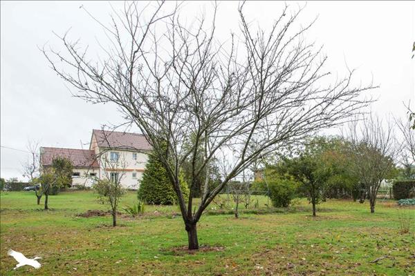 Maison à vendre |  Bourganeuf |  4 pièces | 143 m²