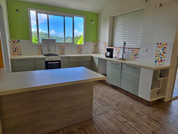 Immeuble Riviere Pilote 10 pièce(s)