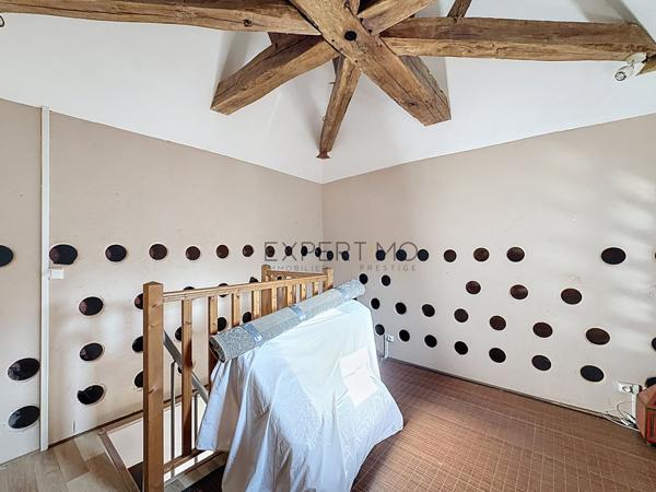 Boyer (71700) SUD BOURGOGNE - BOYER 71 – Moulin de caractère du XVIIème siècle, rénové, 572 m² utiles – Gîte, dépendances e