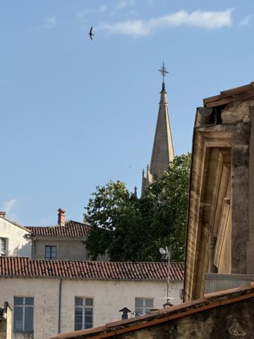 Montpellier (34000) Montpellier – Écusson vaste Appartement T2 face à une place au calme