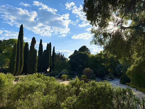 Montpellier (34000) Montpellier – Écusson vaste Appartement T2 face à une place au calme