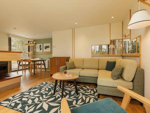 INVESTISSEMENT LOCATIF – CHAUMONT-SUR-THARONNE – Résidence Tourisme Center Parcs Les Hauts de Bruyères – 7.63 % de rentabilité