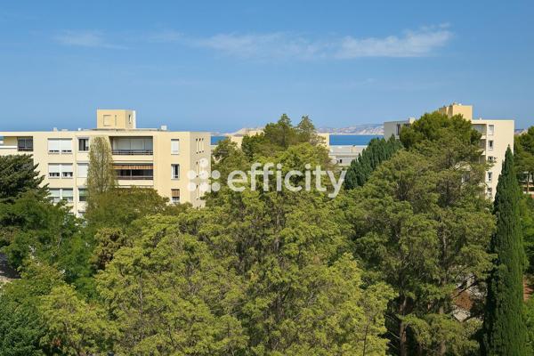 Appartement 2 pièces - 59 m²