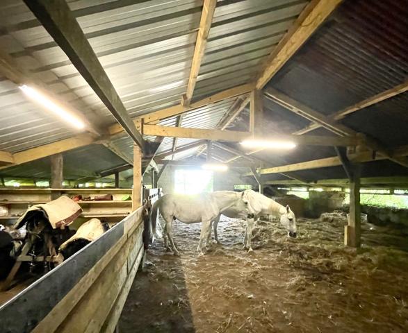 Maison à vendre à Allaire (56350) - Morbihan