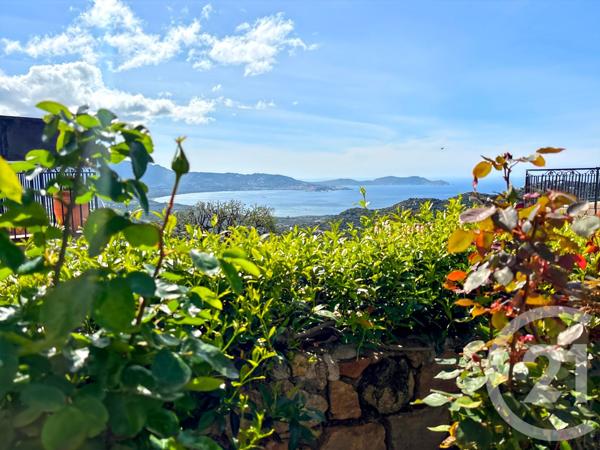 Maison à vendre  7 pièces - 187 m2 LUMIO - 202