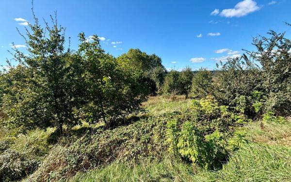 Terrain à vendre    Escatalens