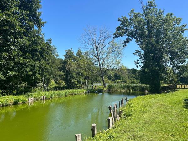 Propriété de charme au cœur de 14 hectares de nature préservée