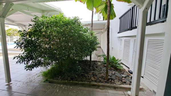 Studio 24m² hyper centre avec piscine