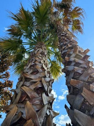 Dans un écrin de verdure !