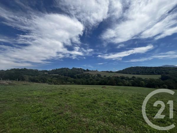 Terrain à vendre  2650 m 2   BENQUE MOLERE  - 65