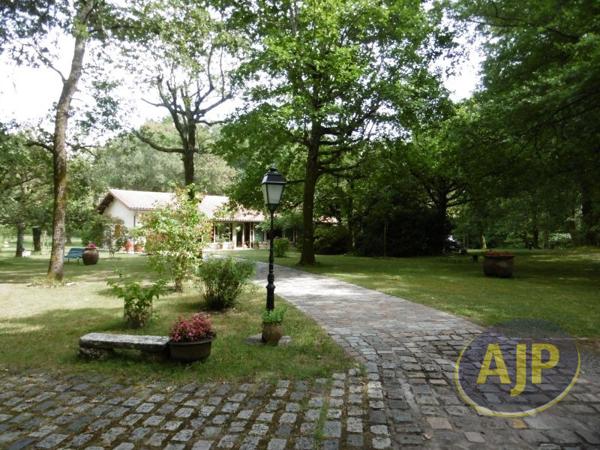 Maison à vendre Biganos - 6 pièces, 132m² avec 3 chambre(s) à 799 000€ - AJP Immobilier Audenge