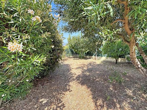 Vente                                                      Maison
                        
                     4 pièces                      83 m2                     à Calenzana