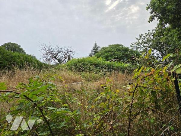 Entre MAYENNE et VILLAINES-LA-JUHEL (53), maison en pierres comprenant entrée, cuisine A/E, sal...