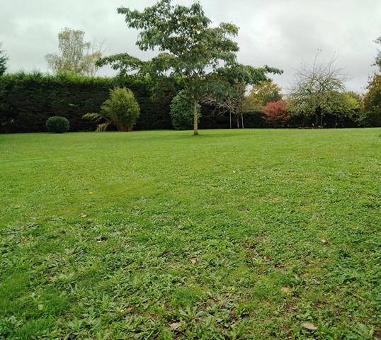 Maison Saint Avertin 5 pièce(s) 153 m2