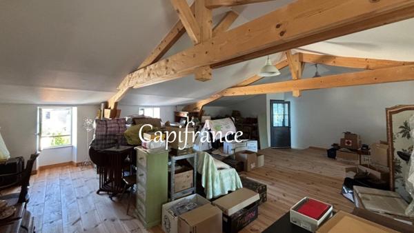 Maison bourgeoise à vendre 5 pièces au coeur de SAINT SAVINIEN (17) - 2 chambres - terrasse et jardin + dépendance