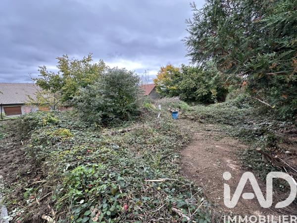 Terrain à vendre 2 178 m² Provenchères-et-Colroy