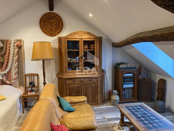 APPARTEMENT F1 / STUDIO MEUBLE A LOUER EN COURTE DUREE - A BLOIS - BELLES PRESTATIONS - VUE SUR CHÂTEAU & LOIRE