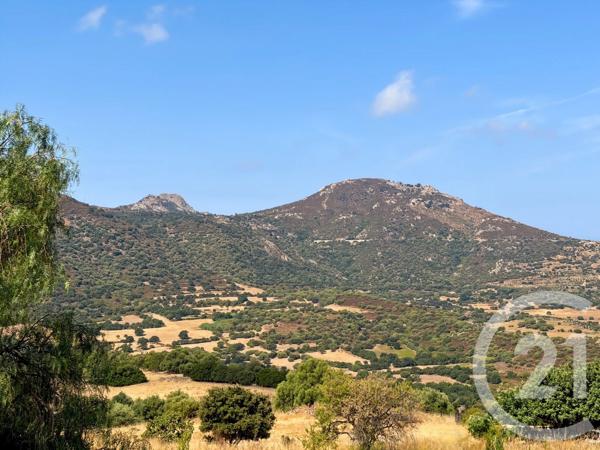 Maison à vendre  4 pièces - 93,31 m 2   AREGNO  - 202