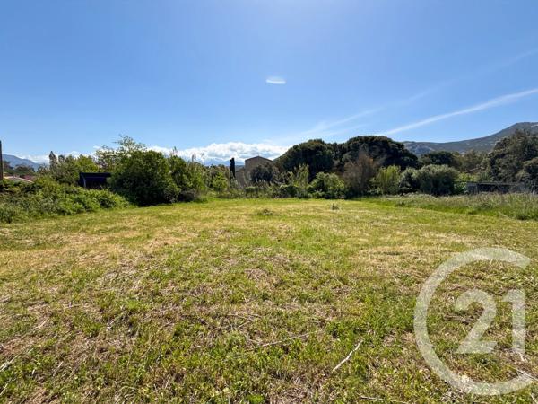 Terrain à vendre  1021 m 2   CALVI  - 202