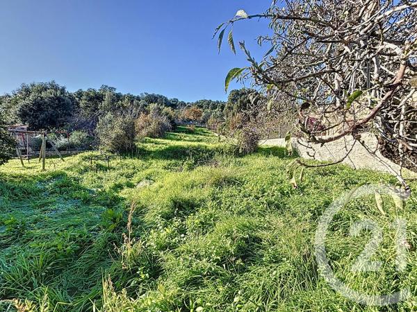 Terrain à vendre  1021 m 2   CALVI  - 202