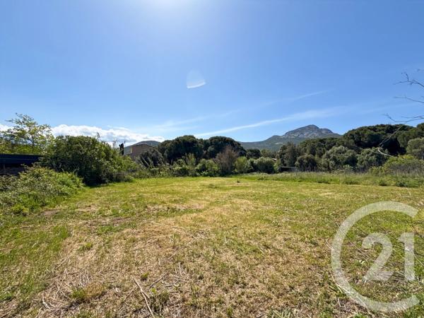 Terrain à vendre  1021 m 2   CALVI  - 202