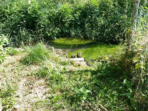 Achat - Maison Mer 41500 4 pièces 68 m 2 521 m 2