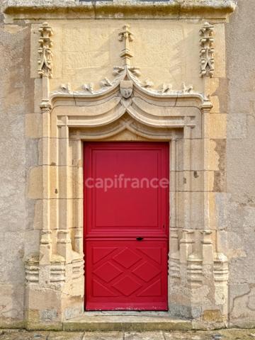 Magnifique Domaine Historique de CHATILLON-en-BAZOIS (58) 2 Châteaux 1 tour de défense plus de 40 pièces sur 5,8 HA