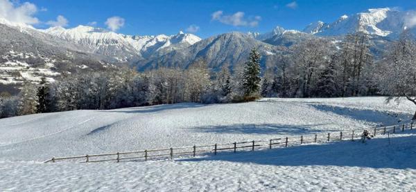Terrain à DOMANCY, 74700 - 1010m²