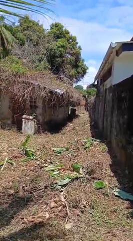 Maison à vendre 4 pièces (973)