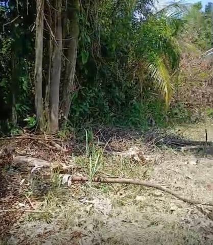 Maison à vendre 4 pièces (973)