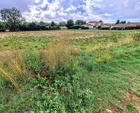 Terrain constructible  de 603m² , viabilisé à Xanton-Chassenon