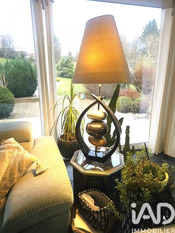 Maison à vendre 7 pièces 210 m² Plaine