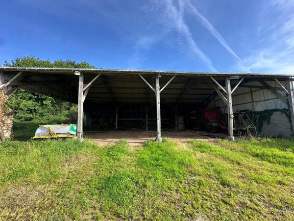 Maison avec hangar et 28 000m² de terrain.