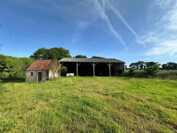 Maison avec hangar et 28 000m² de terrain.