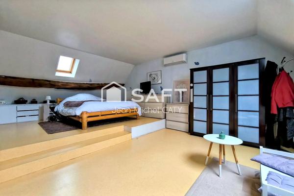 POUILLY SUR LOIRE, gîte de 270 m² sur 5796 m² de terrain.