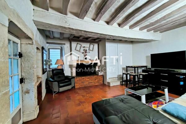 POUILLY SUR LOIRE, gîte de 270 m² sur 5796 m² de terrain.